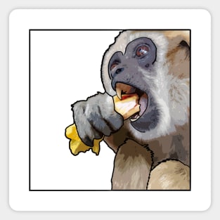 Snacking Gibbon Magnet